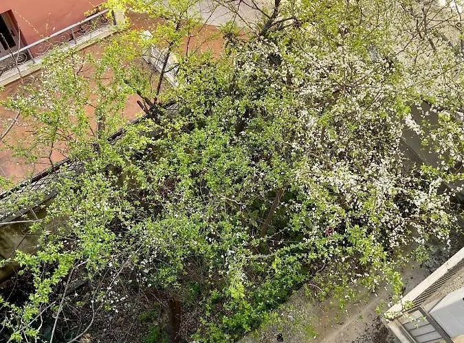 Appartement Oikiastudios *