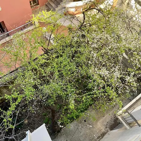 Apartamento Oikiastudios *